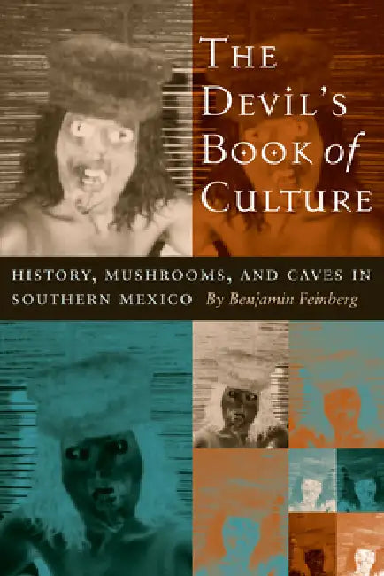 Buy The Devil's Book of Culture (English, Benjamin Feinberg) — BookShops.in