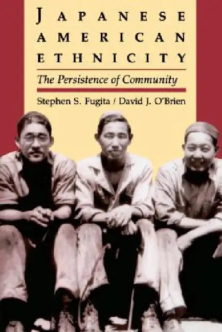 Japanese American Ethnicity (English, Stephen S. Fugita | David J. O'Brien)