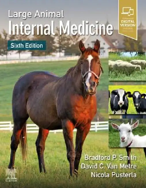 Buy Large Animal Internal Medicine (English, Bradford P. Smith | Nicola Pusterla) — BookShops.in