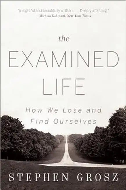 Buy The Examined Life (English, Stephen Grosz) — BookShops.in