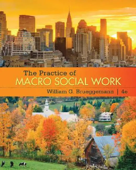 The Practice of Macro Social Work (English, William Brueggemann)