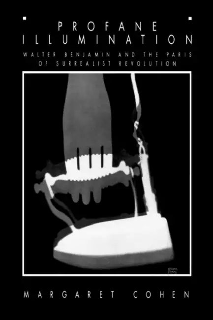 Profane Illumination (English, Margaret Cohen)