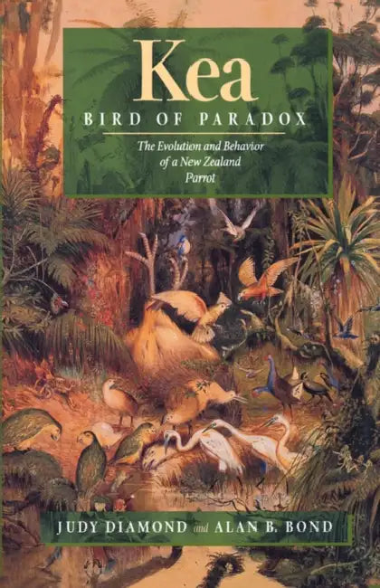 Kea, Bird of Paradox (English, Judy Diamond | Alan B. Bond)