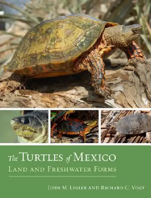 Buy The Turtles of Mexico (English, John Legler | Richard C. Vogt) — BookShops.in