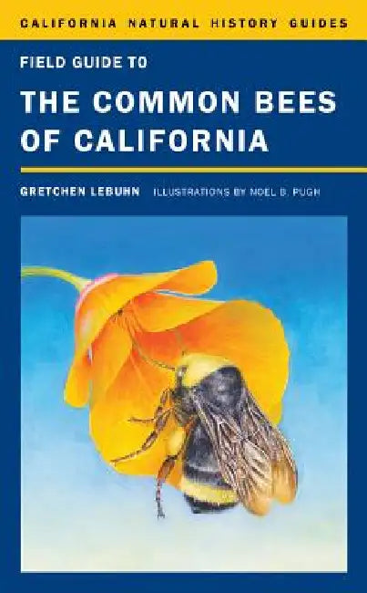 Buy Field Guide to the Common Bees of California (English, Gretchen Lebuhn | Noel Badges Pugh) — BookShops.in