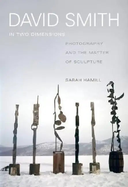 Buy David Smith in Two Dimensions (English, Sarah Hamill) — BookShops.in