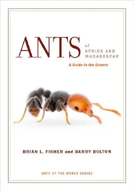 Buy Ants of Africa and Madagascar (English, Brian L. Fisher | Barry Bolton) — BookShops.in