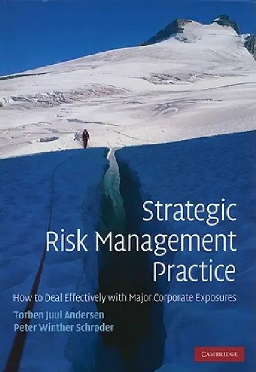 Strategic Risk Management Practice – Torben Juul Andersen view 5