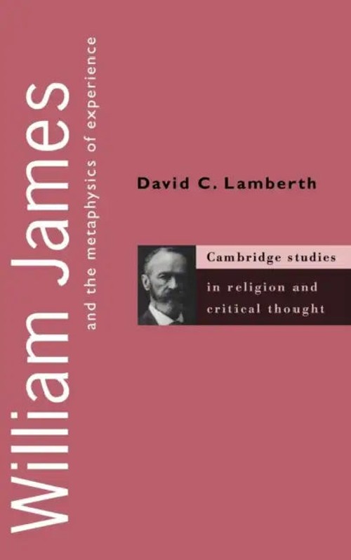 William James and the Metaphysics of Experience – David C. Lamberth view 5