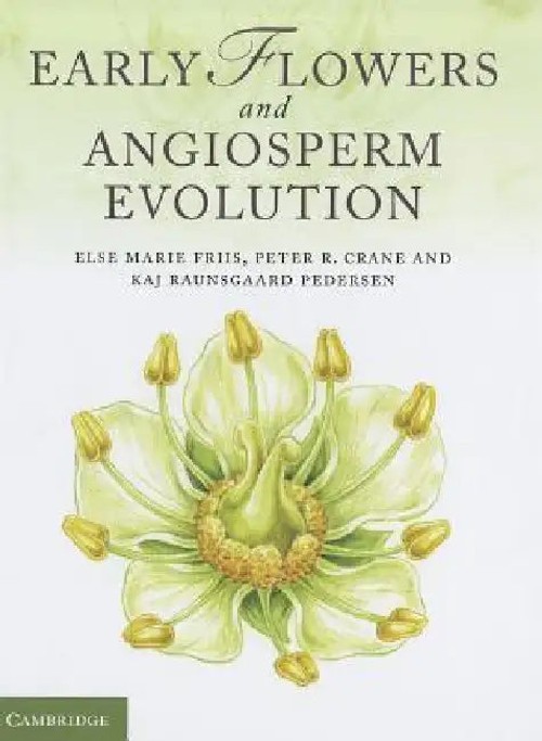 Early Flowers and Angiosperm Evolution – Cambridge University Press view 4