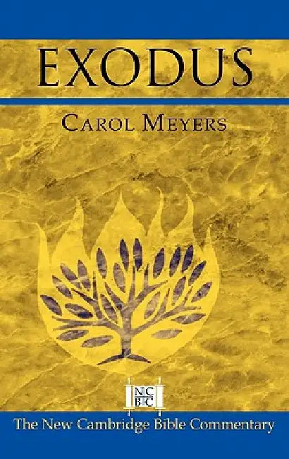 Buy Exodus (English, Carol L. Meyers | III Witherington Ben | Bill T. Arnold) — BookShops.in