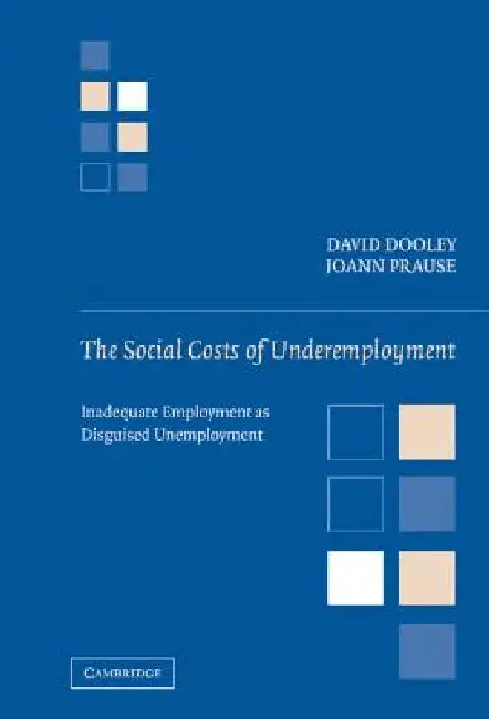 Buy The Social Costs of Underemployment (English, Joann Prause | David Dooley) — BookShops.in