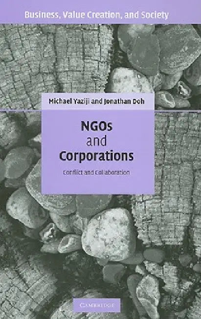 Buy NGOs and Corporations (English, Michael Yaziji | Jonathan Doh) — BookShops.in