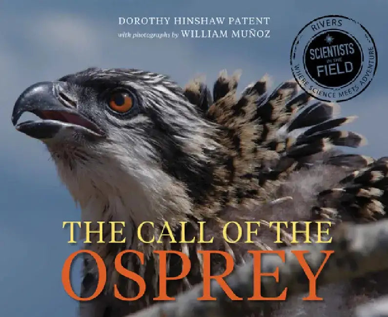 Buy Call of the Osprey (Scientists in the Field) by Dorothy Hinshaw Patent | Houghton Mifflin | English | Paperback | Children's Environmental Science Book — BookShops.in