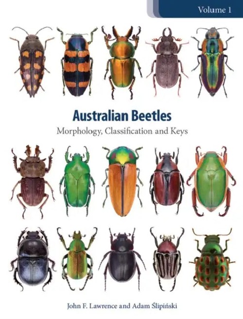 Australian Beetles: Morphology, Classification and Keys – John Lawrence | Bookshops.in view 2