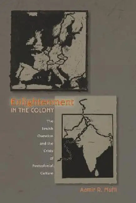 Enlightenment in the Colony (English, Aamir R. Mufti)