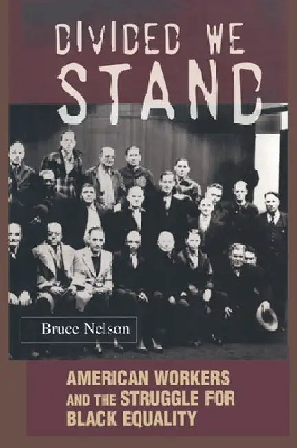 Buy Divided We Stand (English, Bruce Nelson) โ BookShops.in