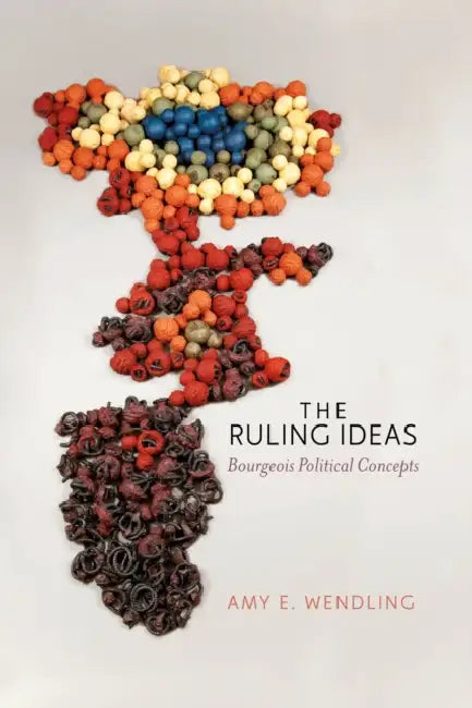 Buy The Ruling Ideas (English, Amy E. Wendling) — BookShops.in