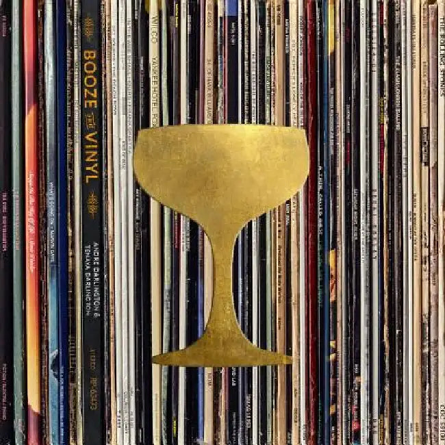 Buy Booze & Vinyl (English, Andre Darlington) — BookShops.in