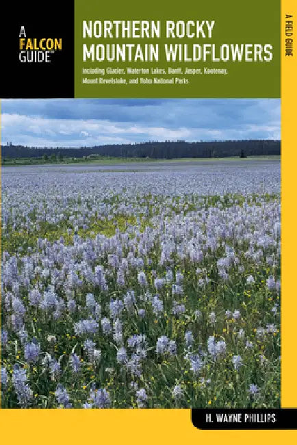 Buy Northern Rocky Mountain Wildflowers (English, H. Wayne Phillips) — BookShops.in