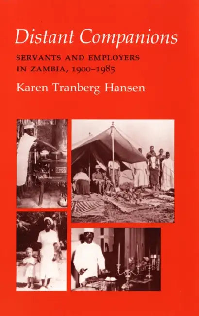 Buy Distant Companions (English, Karen Tranberg Hansen) — BookShops.in