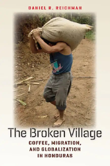 Buy The Broken Village (English, Daniel R. Reichman) — BookShops.in
