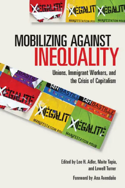 Buy Mobilizing Against Inequality (English, Lee H. Adler | Maite Tapia | Lowell Turner) — BookShops.in