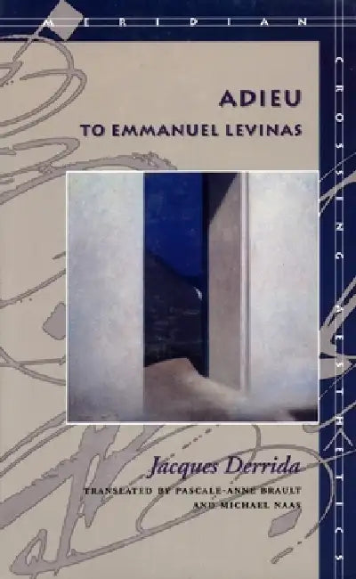 Adieu to Emmanuel Levinas (English, Jacques Derrida | Pascale-Anne Brault | Michael Naas)