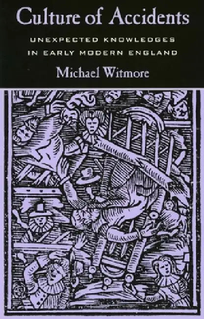 Buy Culture of Accidents (English, Michael Witmore) — BookShops.in