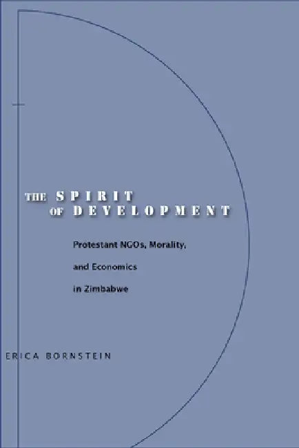 The Spirit of Development (English, Erica Bornstein)