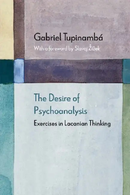 Buy The Desire of Psychoanalysis (English, Gabriel Tupinambá | Slavoj Zizek) — BookShops.in