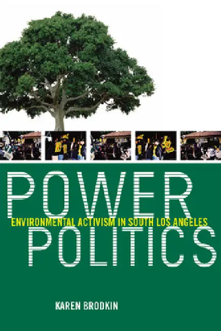 Power Politics (English, Karen Brodkin)
