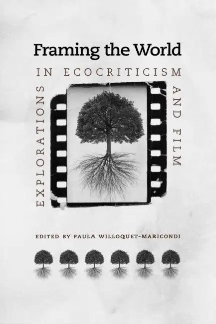 Buy Framing the World (English, Paula Willoquet-Maricondi) — BookShops.in