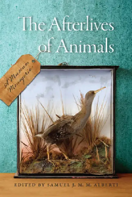 Buy The Afterlives of Animals (English, Samuel J. M. M. Alberti) — BookShops.in