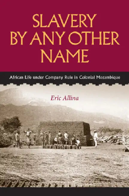 Buy Slavery by Any Other Name (English, Eric Allina) — BookShops.in