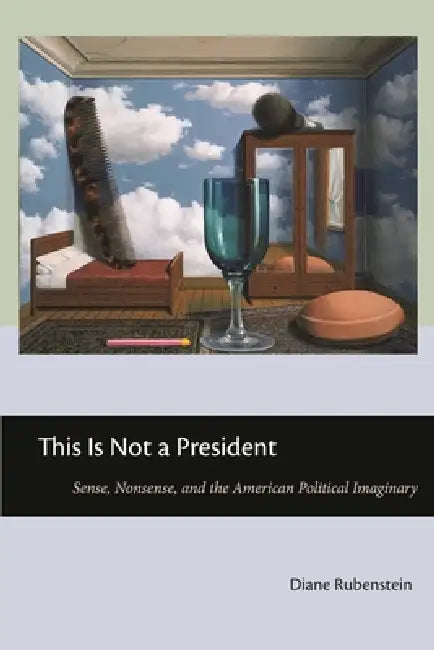 Buy This Is Not a President (English, Diane Rubenstein) — BookShops.in