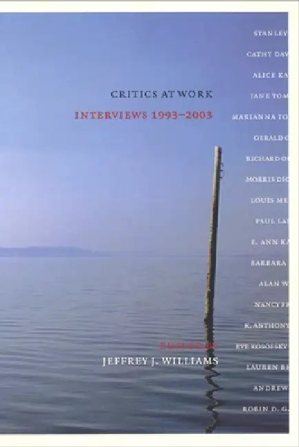 Critics at Work (English, Jeffrey J. Williams)