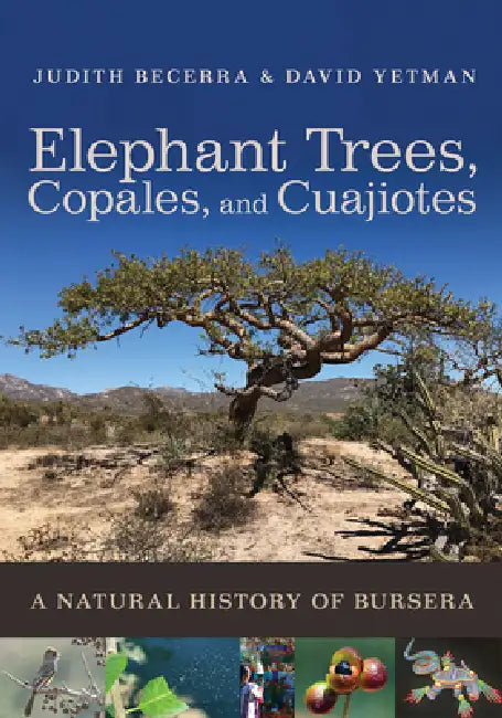 Buy Elephant Trees, Copales, and Cuajiotes (English, Judith X. Becerra | David Yetman | Exequiel Ezcurra) — BookShops.in
