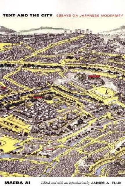Text and the City (English, Ai Maeda | James A. Fujii)