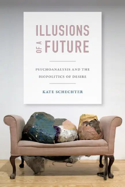 Illusions of a Future (English, Kate Schechter)