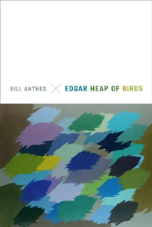 Edgar Heap of Birds: A Study of Native American Art by Bill Anthes view 2