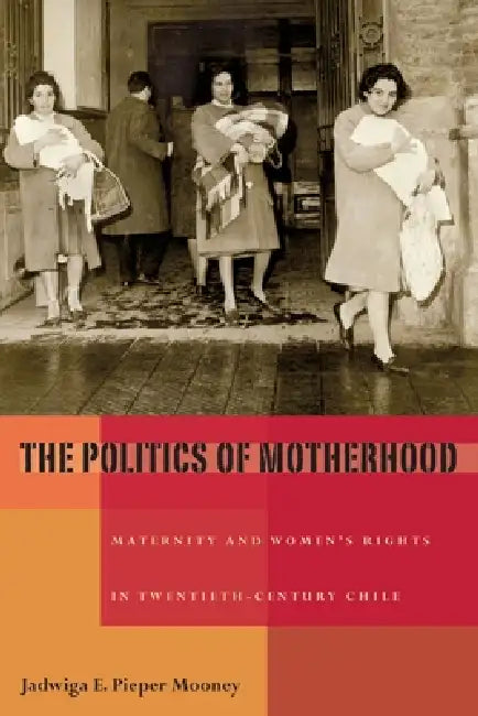Buy The Politics of Motherhood (English, Jadwiga Pieper Mooney) — BookShops.in
