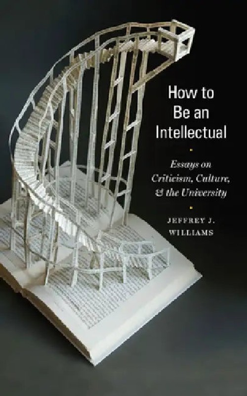 How to Be an Intellectual by Jeffrey J. Williams view 2