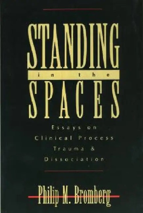 Standing in the Spaces by Philip M. Bromberg – Routledge view 2