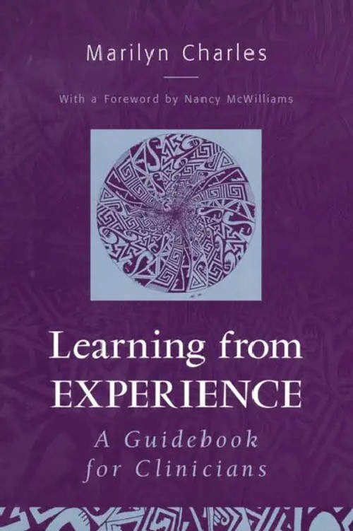 Learning from Experience: A Guidebook for Clinicians by Marilyn Charles view 2