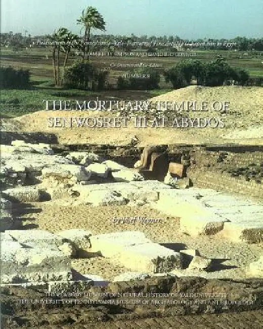 The Mortuary Temple of Senwosret III at Abydos - Josef Wegner view 2