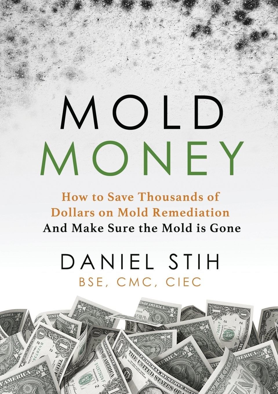 Mold Money: How to Save Thousands on Mold Remediation view 4