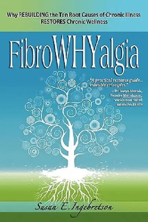 Fibrowhyalgia by Susan E. Ingebretson – Chronic Illness Recovery Guide view 2