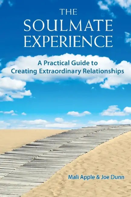 The Soulmate Experience (English, Mali Apple | Joe Dunn)