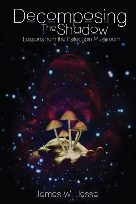 Buy Decomposing The Shadow (English, James W. Jesso) — BookShops.in